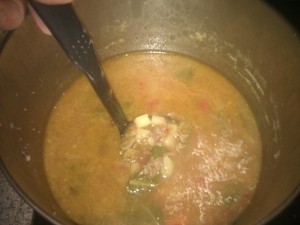 Venison Soup 2